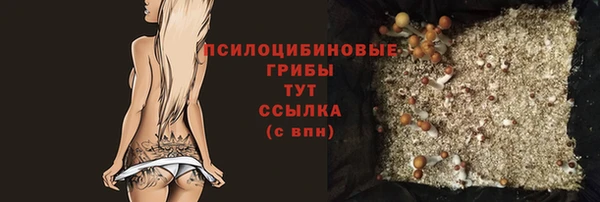 синтетический гашиш Алексин