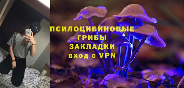 синтетический гашиш Алексин
